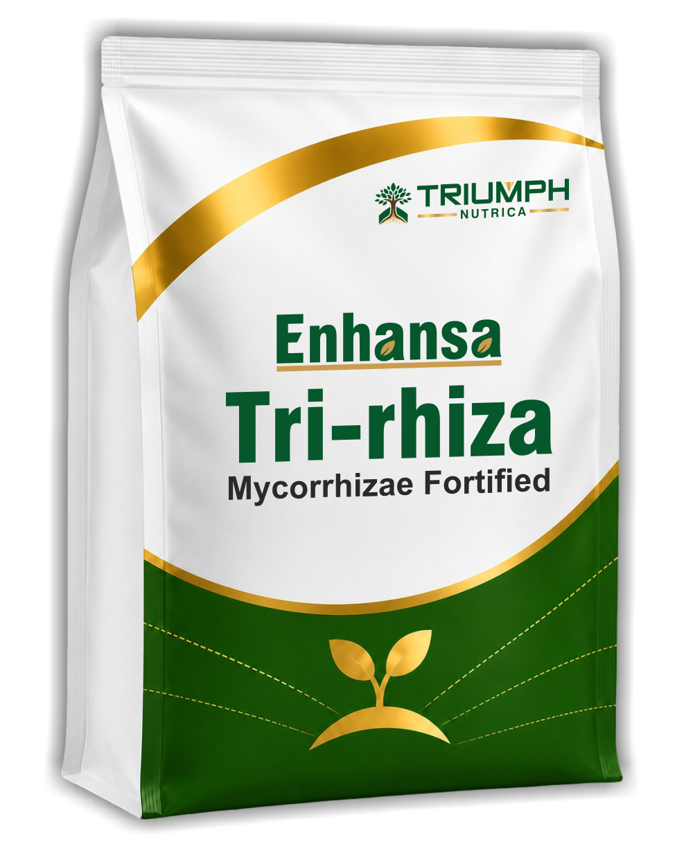 Enhansa Tri-rhiza