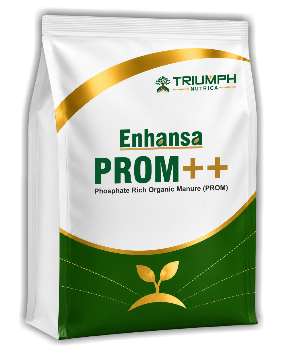 Enhansa PROM++