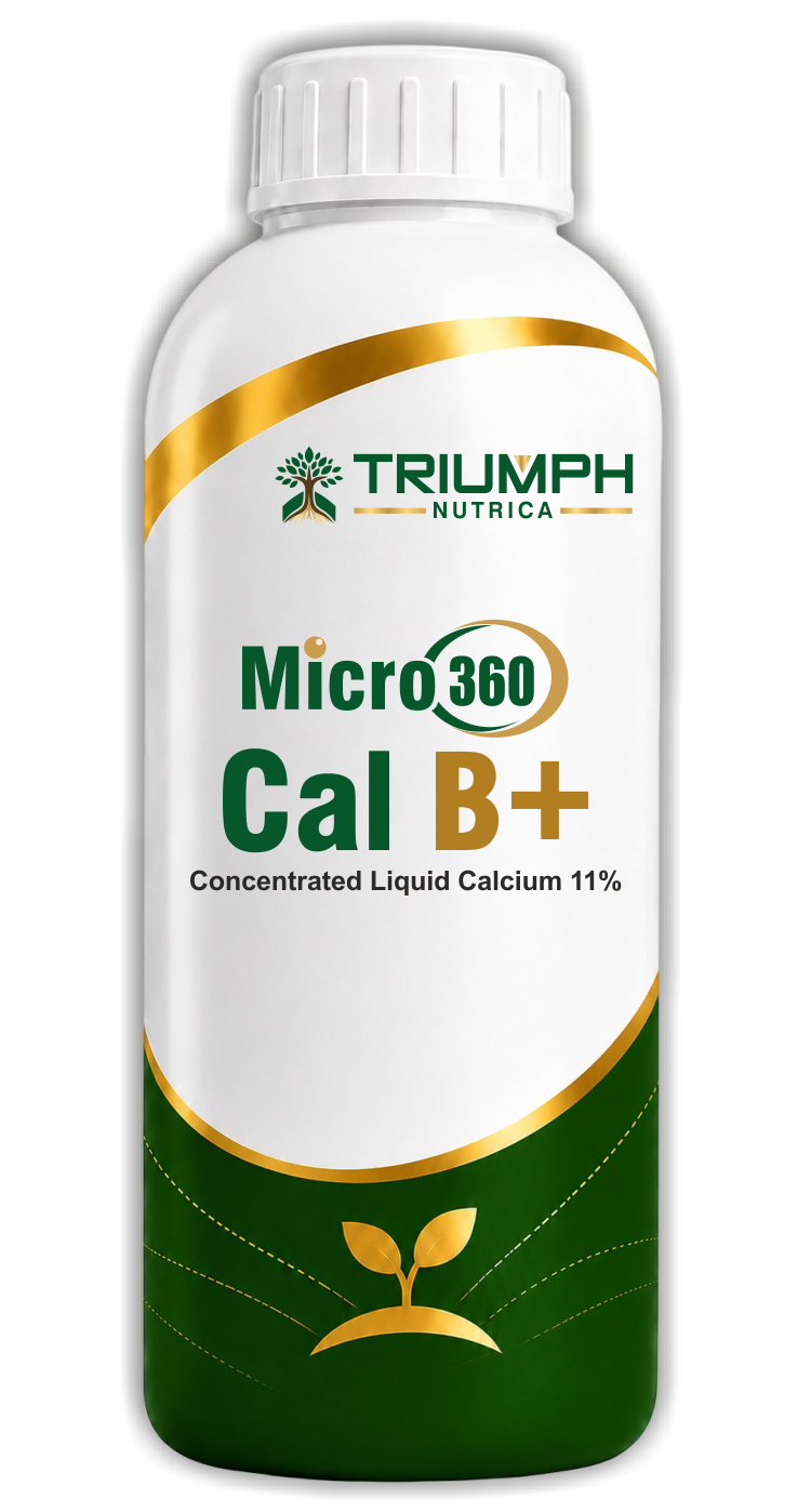 Micro360 Cal B+