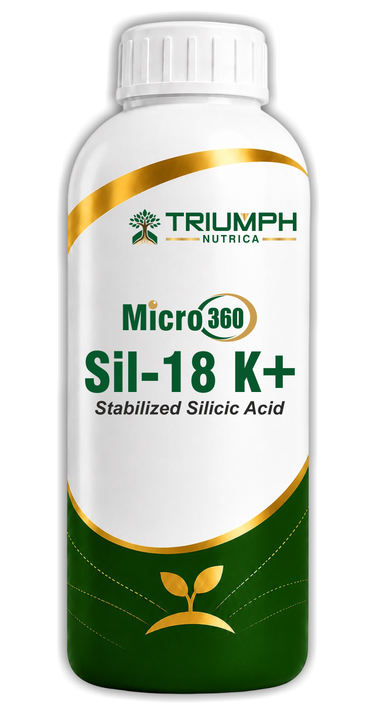 Micro360 Sil-18 K+