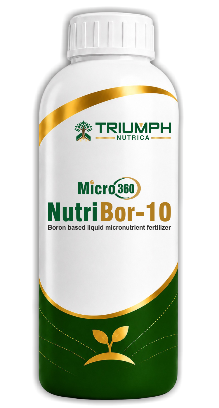 Micro360 NutriBor-10