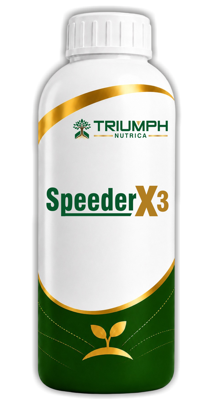 SpeederX3